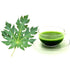 NeutraVed Papaya Leaf Tea 40 Tea Bags